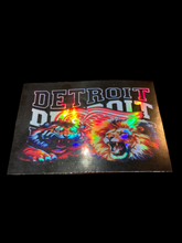 Load image into Gallery viewer, Detroit Lions/Tigers/Wings Stickers