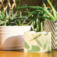 Load image into Gallery viewer, Plant Daddy Bar Soap