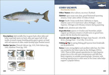 Load image into Gallery viewer, Fish of Michigan Field Guide