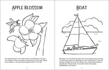 Load image into Gallery viewer, Michigan Activity Book