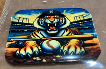 Load image into Gallery viewer, Detroit Sports Team Magnet