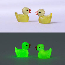 Load image into Gallery viewer, Hide-A-Duck Tiny Glow-In-The-Dark Duck Charms (100pc)