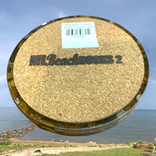 Load image into Gallery viewer, Lake Huron Michigan Petoskey Stone Resin Coaster
