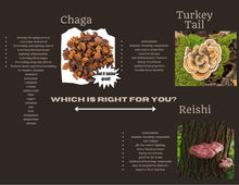 Load image into Gallery viewer, Great Lakes Treats Michigan Wild Harvested Chaga, 15 Convenient Tea Bags