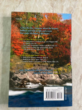 Load image into Gallery viewer, Michigan Every Day  by Carole Eberly / Patrick Sullivan
