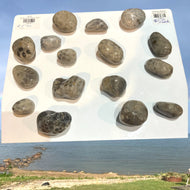 Lake Huron Michigan Petoskey Stone Resin Magnet