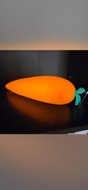 Squishy Carrot