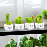 Mini Cactus Love Plants