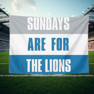 Detroit Lions Banner