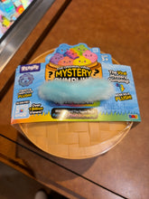 Load image into Gallery viewer, RMS Rainbow Plush Dumpling
