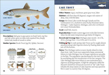 Load image into Gallery viewer, Fish of Michigan Field Guide
