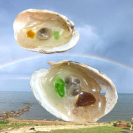 Lake Huron Michigan Petoskey Stone Beach Glass & Shell