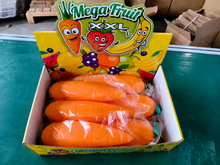 Load image into Gallery viewer, Squishy Carrot
