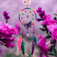 Dreamcatcher Butterfly Rainbow