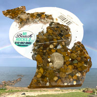 Lake Huron Michigan Petoskey Stone Magnet Upper & Lower Peninsula Set