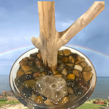 Load image into Gallery viewer, Lake Huron Michigan Petoskey Stone Driftwood Jewelry Tree
