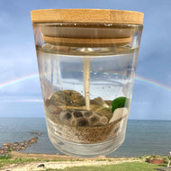 Lake Huron Michigan Petoskey Stone & Beach Glass Unscented Gel Candle