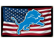 Detroit Lions Banner
